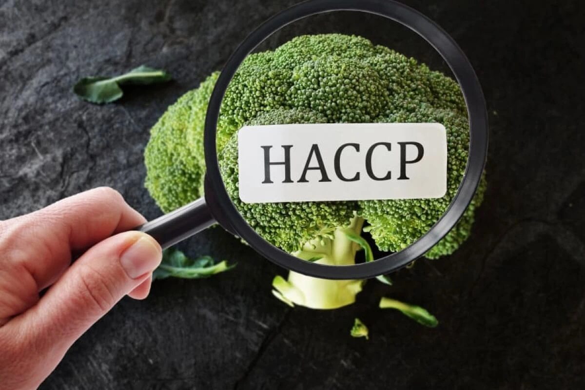 Lưu ý khi ứng dụng CCP trong HACCP