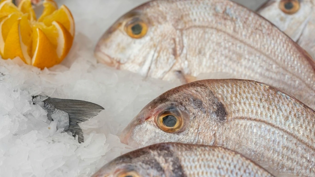 Nhiệt độ bảo quản thực phẩm